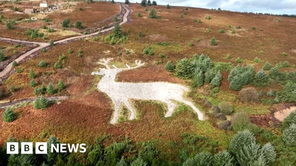 Volunteers resurrect 1870 stag artwork on Aberdeenshire hillside