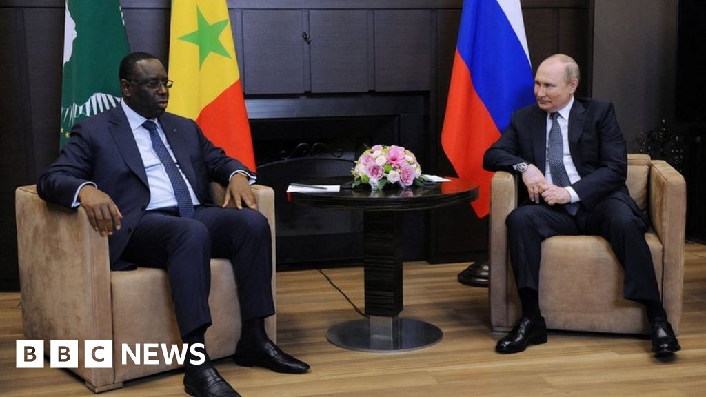 Ukraine war: Hungry Africans are victims of the conflict, Macky Sall tells Vladimir Putin