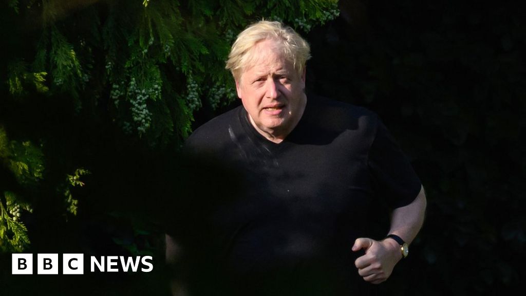 Boris Johnson Partygate report: Key findings at a glance