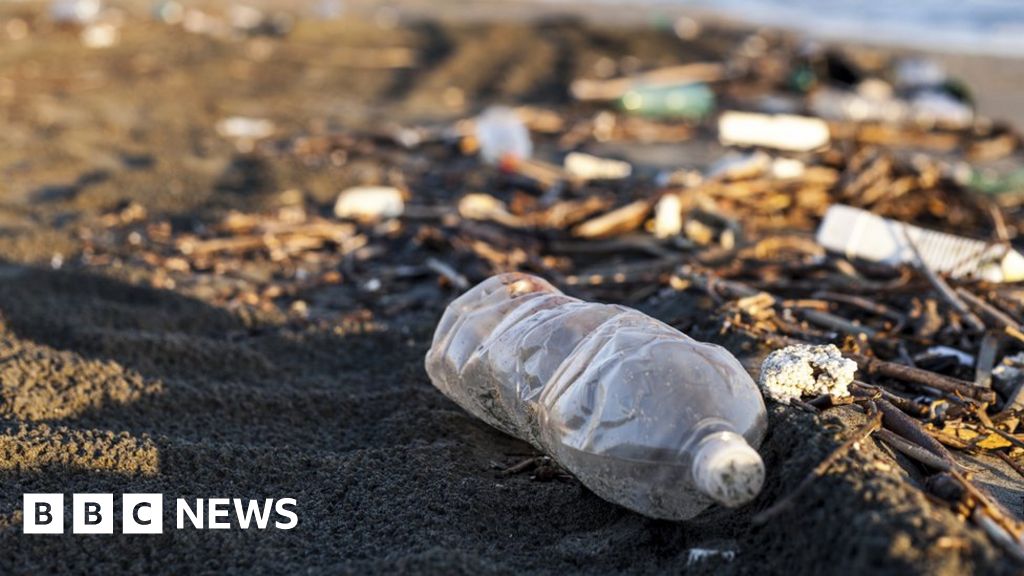 Shops sold 2.5 BILLION bottles of water in 2019 as tide of plastic shows no  sign of slowing down