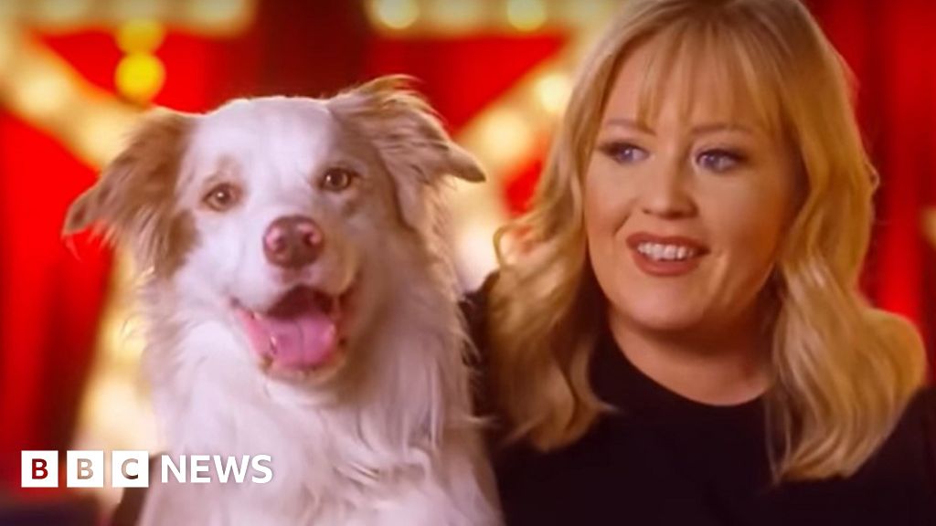 Britain's Got Talent Exfinalist wows judges with new dog act BBC News