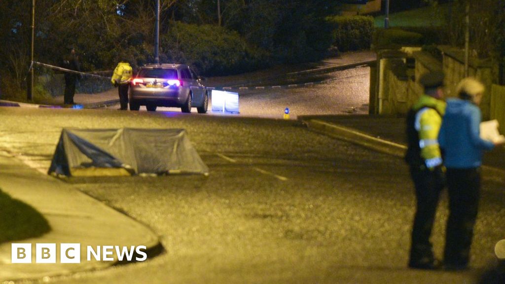 Man Dies After Being Knocked Down In Dungannon