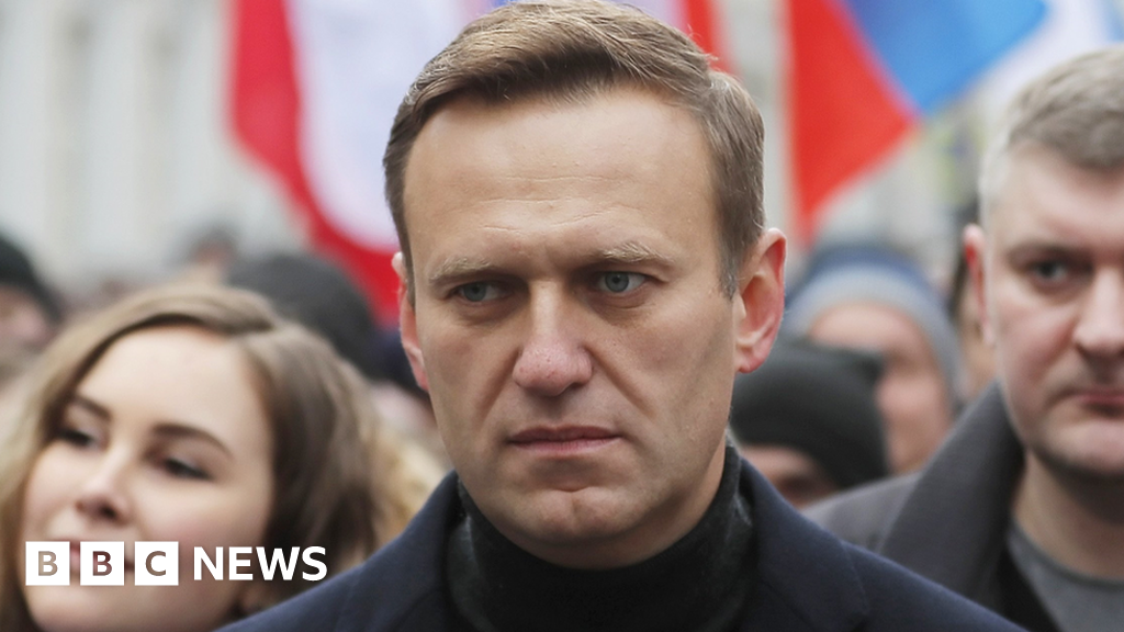 Alexei Navalny: Putin critic's mother says she saw his body