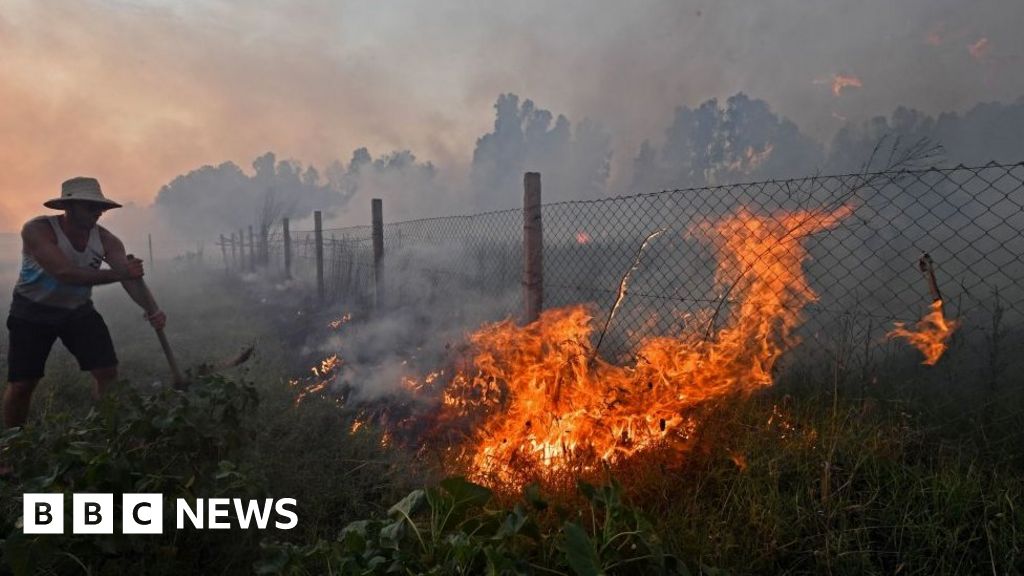 Algeria wildfires: Dozens killed and thousands evacuated