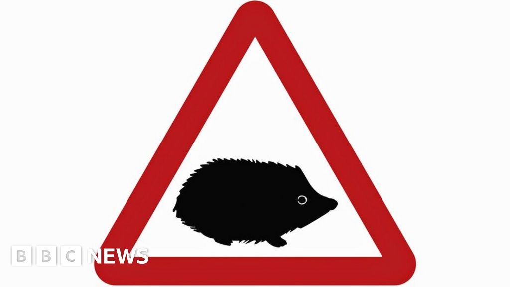 Hedgehog features in new road warning sign