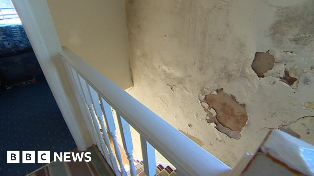 Damp in Anna Phillips' house in Barry, Vale of Glamorgan