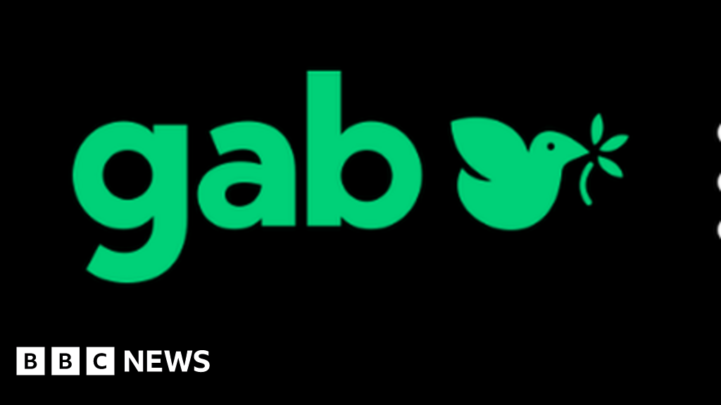 Social network Gab back online after shooting - BBC News