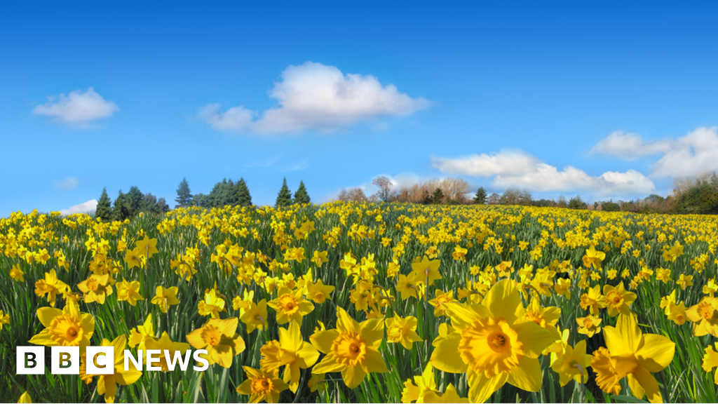 Coronavirus Green light for flower growers to resume operating