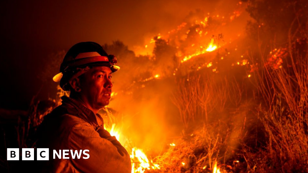 Global warming 'driving California wildfires'