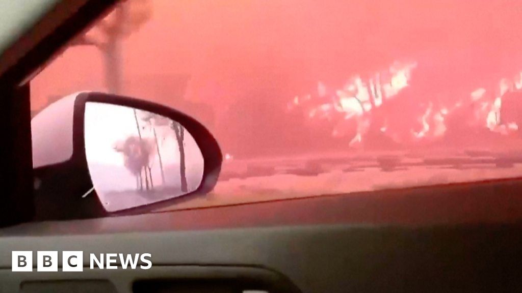 Watch: Driving through a wildfire in South Korea