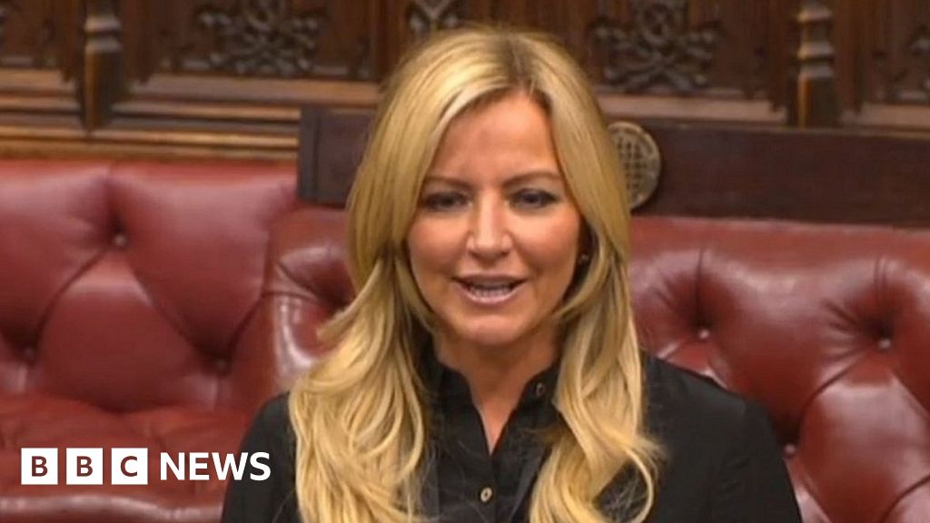 PMQ: Rishi Sunak 'shocked' by allegations about Tory peer Mone