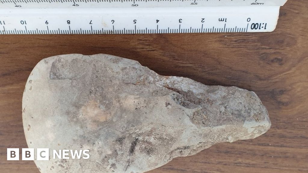 Stone Age Axe Discovered During Dig In Talsarn