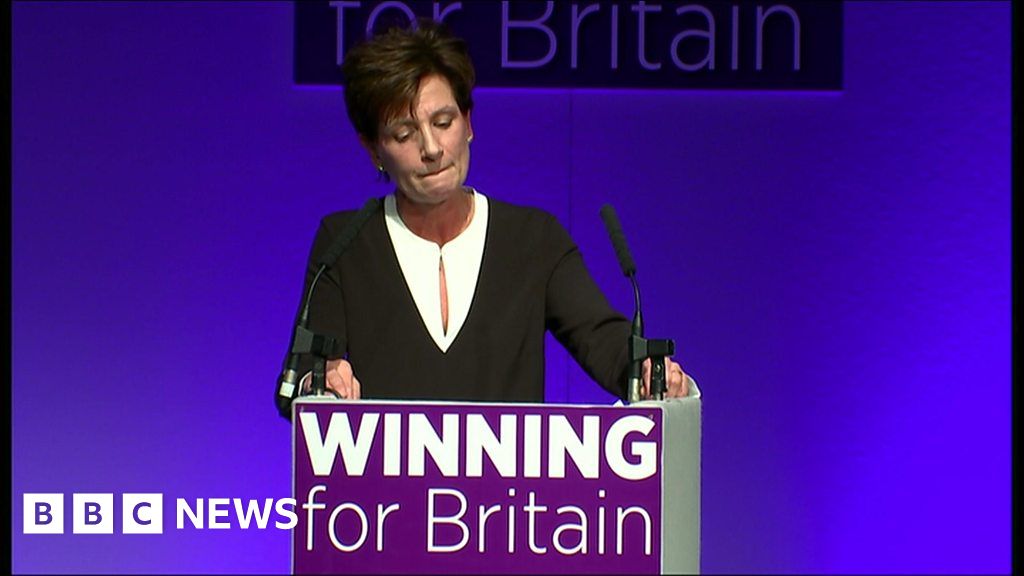 What will happen to UKIP under Diane James? - BBC News