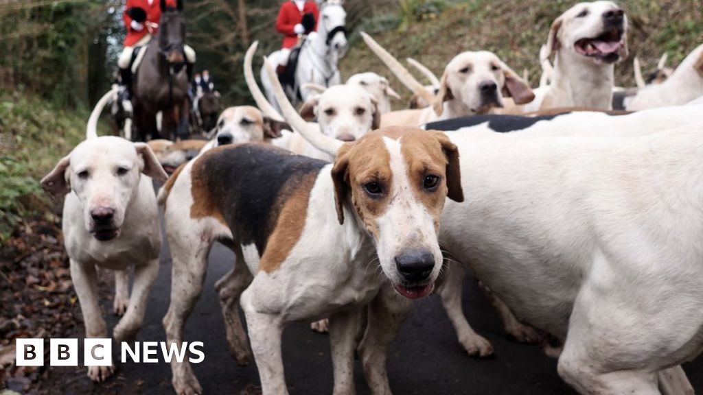Two charged with assault after Dorset hunt incidents 