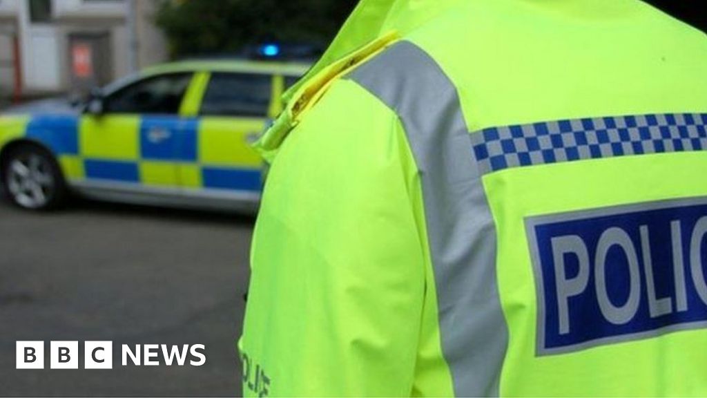 Appeal After Horse Killed In North Yorkshire Crash