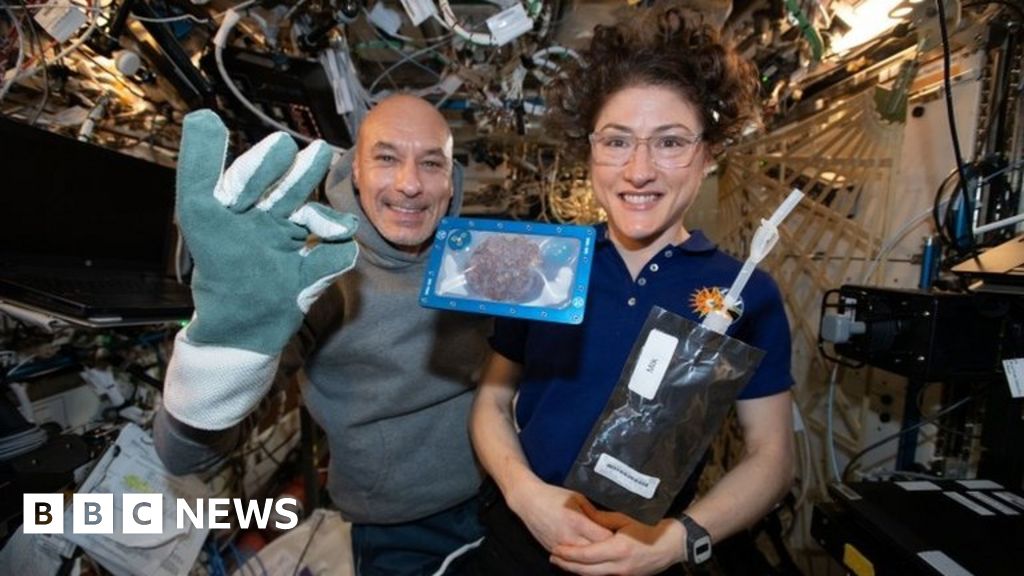 Space cookies: First food baked in space by astronauts