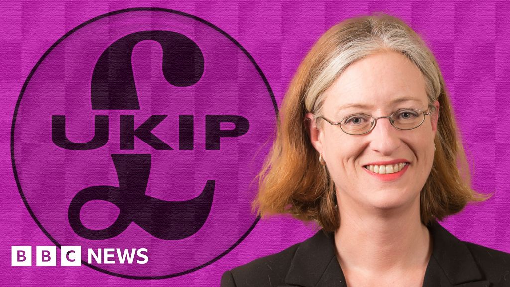 UKIP AM Michelle Brown faces 'misconduct' confidence vote BBC News