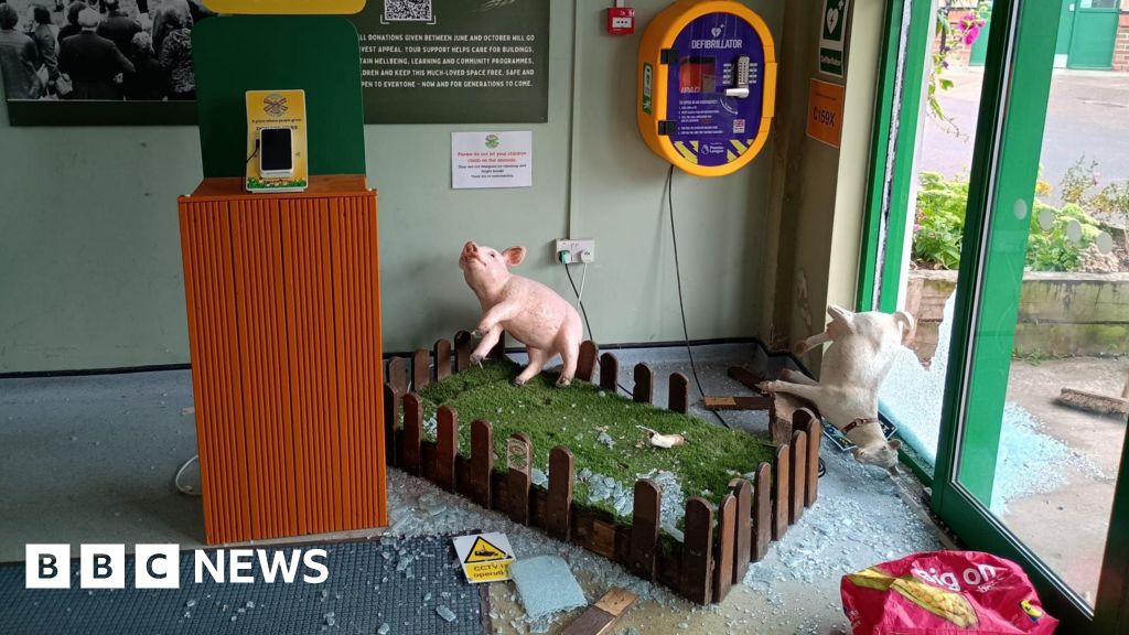 bbc.co.uk - Georgia Eadie - Heartbreak for Bristol city farm after third break in this year