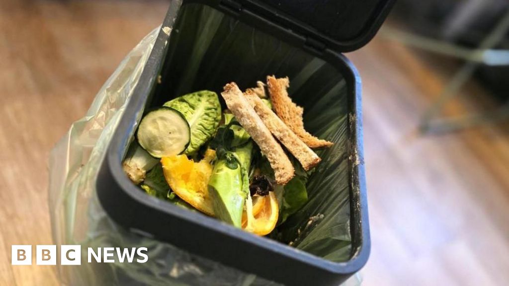bbc.co.uk - Austen Shakespeare - North Tyneside Council apologises for food waste bin errors
