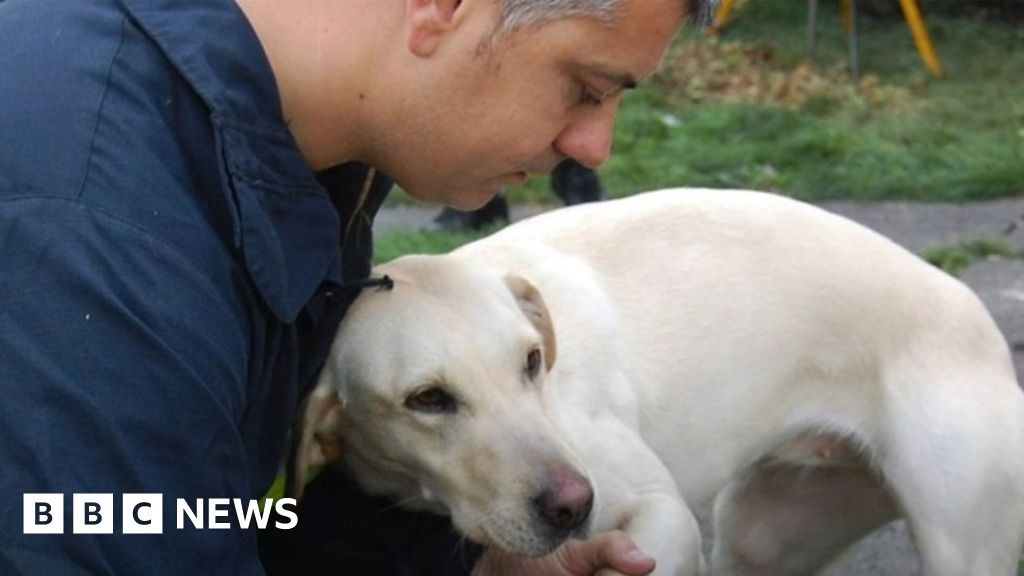 Greater Manchester 'hero' fire dogs honoured BBC News