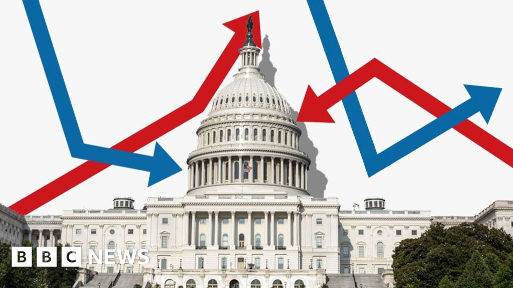 US Mid-term Elections: You Choose What Happens - BBC News