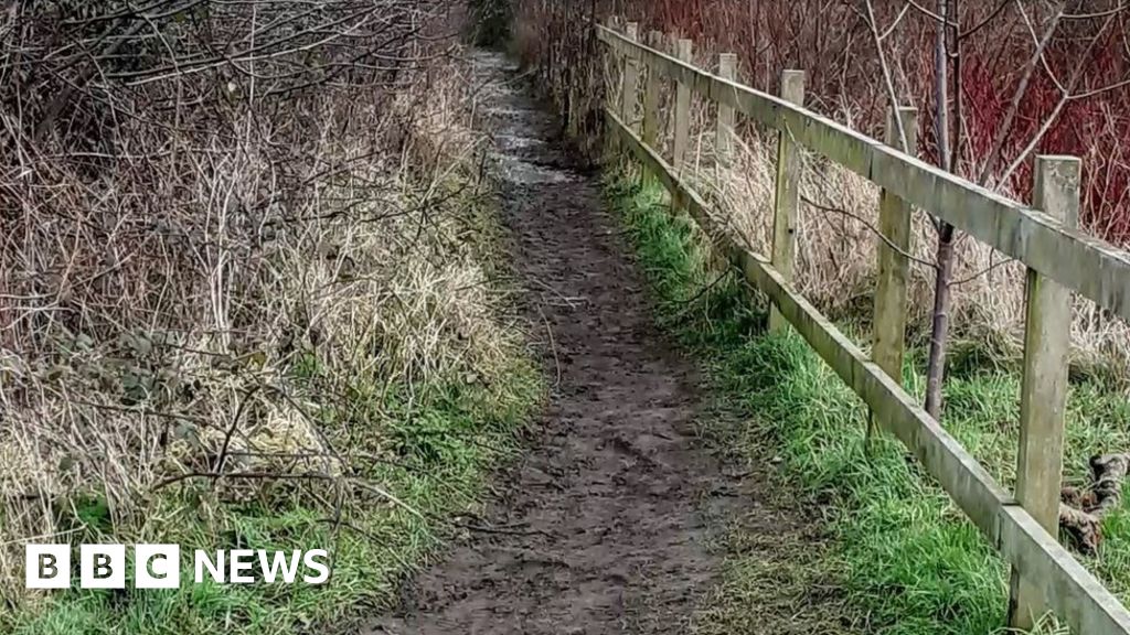 Ryedale Council Steps Up Footpath Patrols Over Human Faeces Complaints