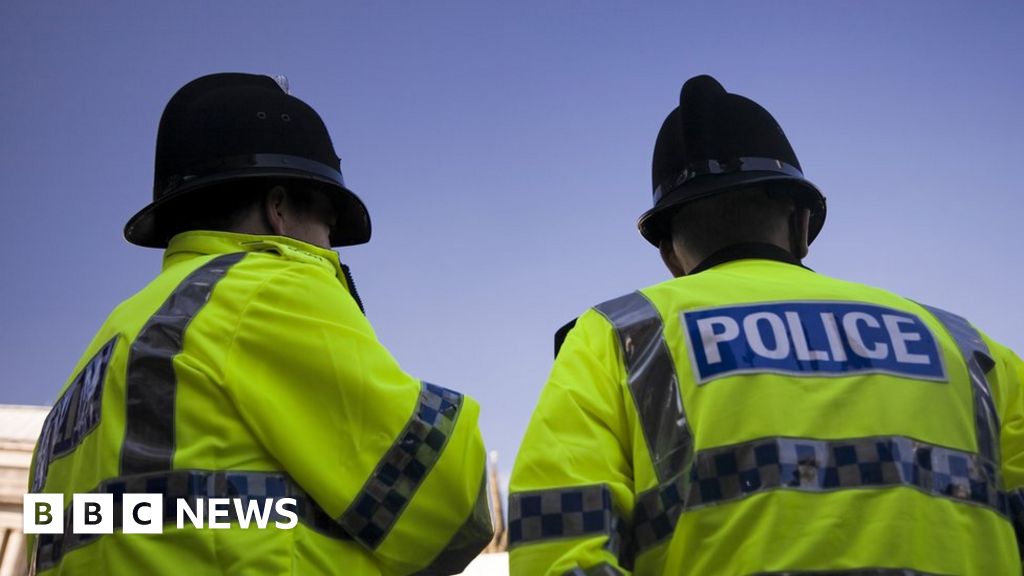 Labour would force police recruit detectives from business