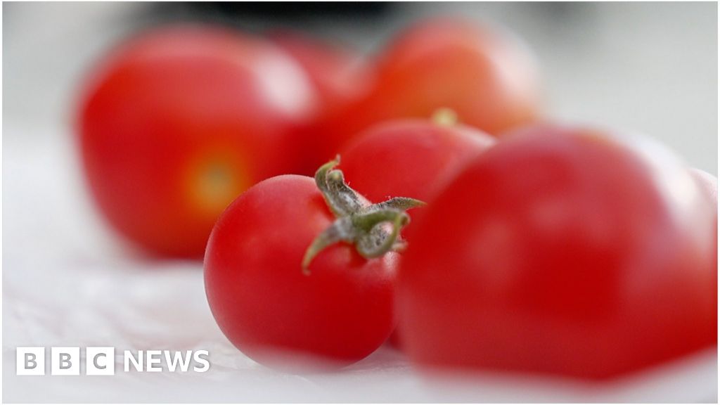 Gene-edited tomatoes could soon be sold in England