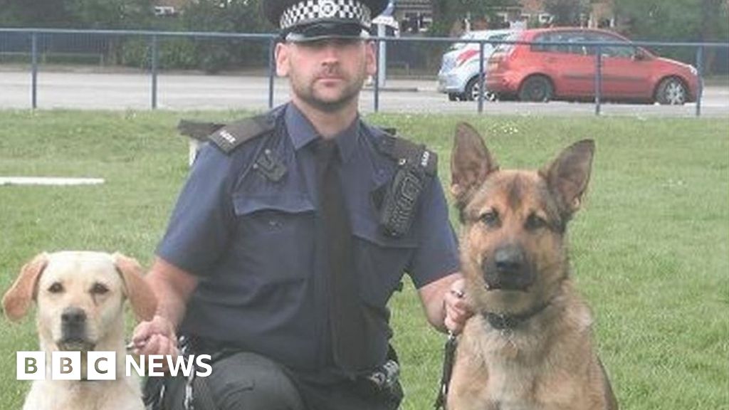 Police dog Ghost dies after being hit by vehicle in intruder search ...