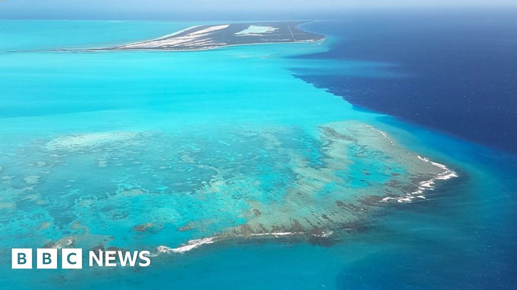 Turks and Caicos corals: Disease threatens barrier reef