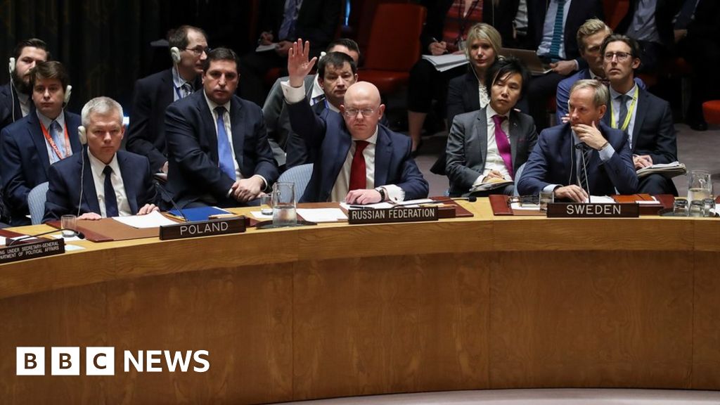 Syria Does Russia Always Use A Veto At The Un Security Council Bbc News 