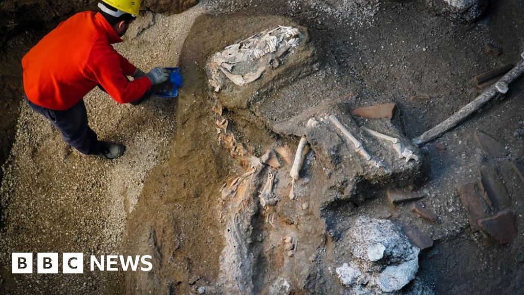 Pompeii horse found still wearing harness