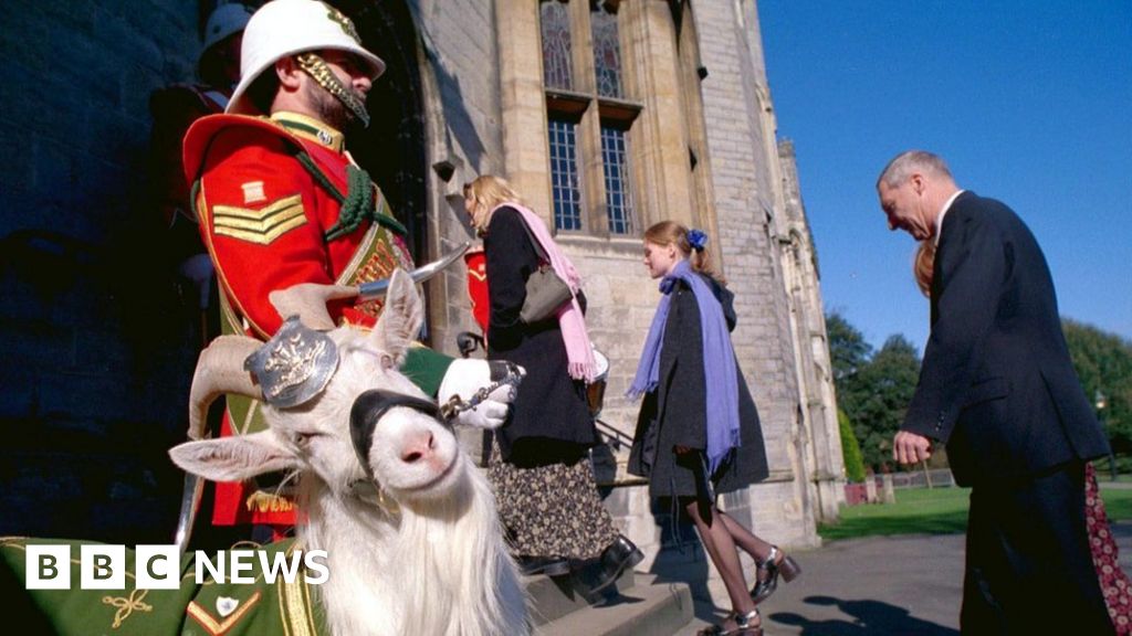 Salvage Hunters star Nick Elphick to sculpt army goat Shenkin
