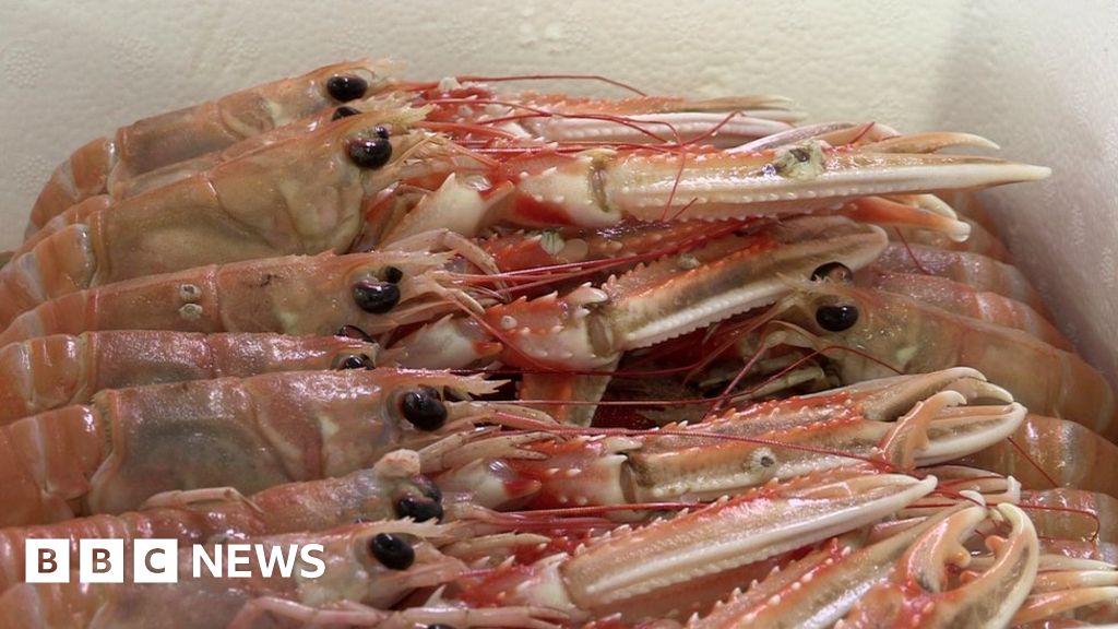 Northern Ireland fishing quota up by £1.2m BBC News