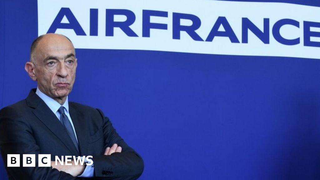Air France survival in doubt, says minister