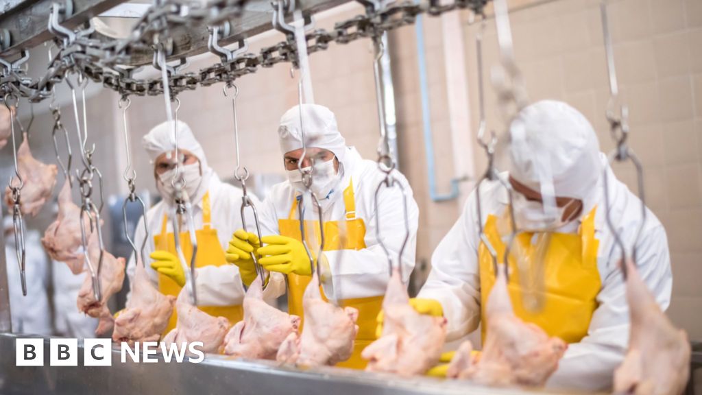 Coronavirus Why have there been so many outbreaks in meat processing