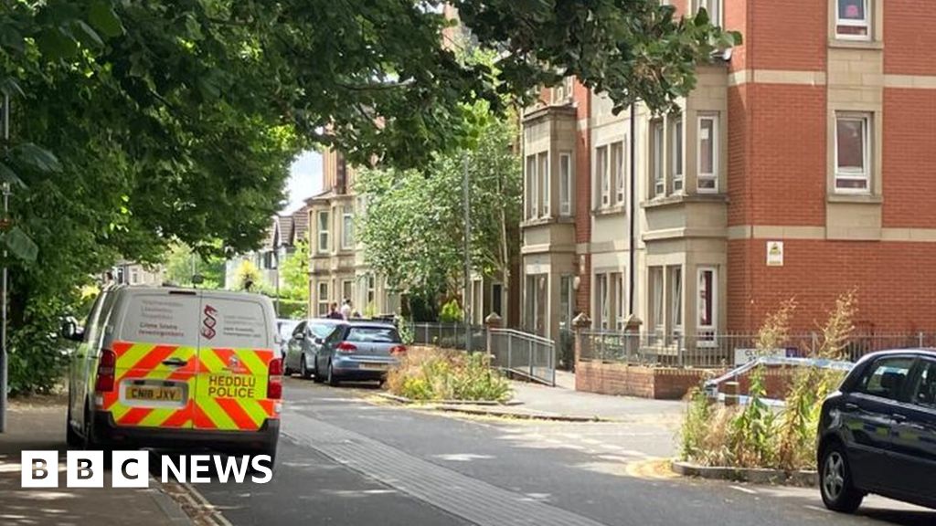 Cardiff: Arrest made after man seriously hurt in stabbing