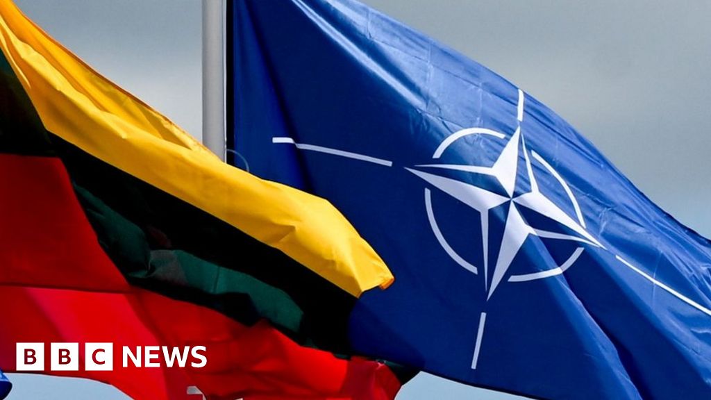 NATO首脳会談：ビリニュスで指導者たちが議論するウクライナの今後の会員資格