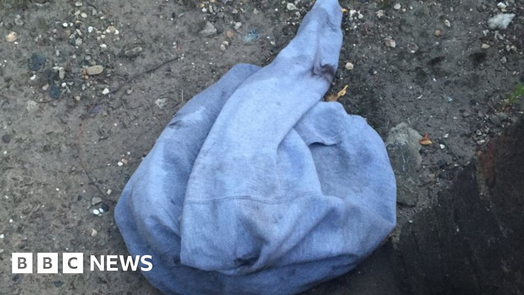 Dead Fox Found Covered In Oil In Luton Bbc News