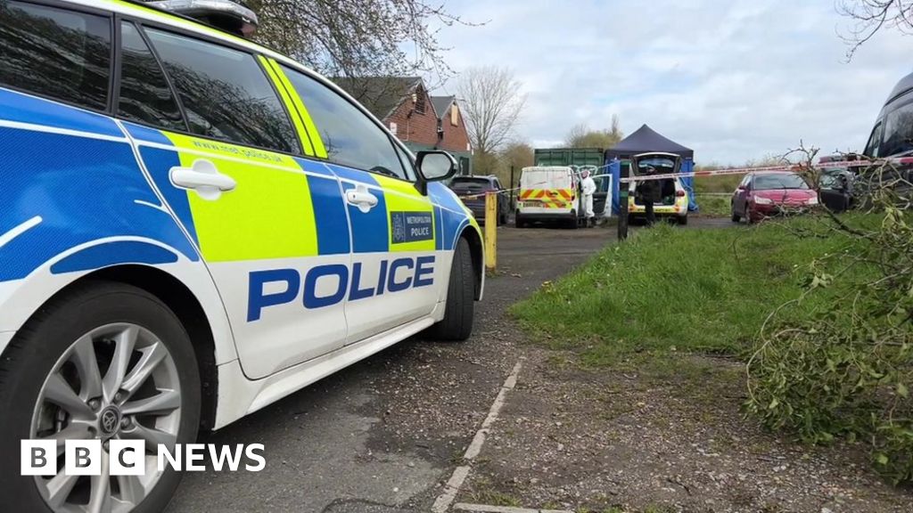 Croydon: Murder investigation as human remains found in park - BBC News