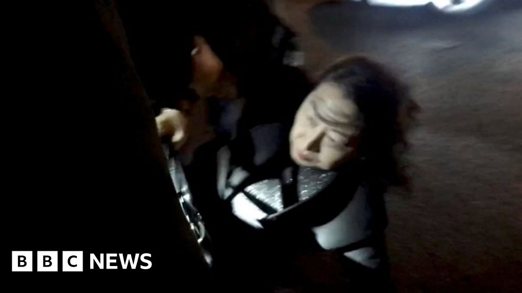 Hong Kong protests: Teresa Cheng jostled by protesters in London - BBC News