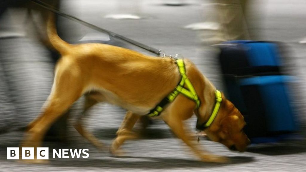 US stops sending sniffer dogs to Jordan and Egypt