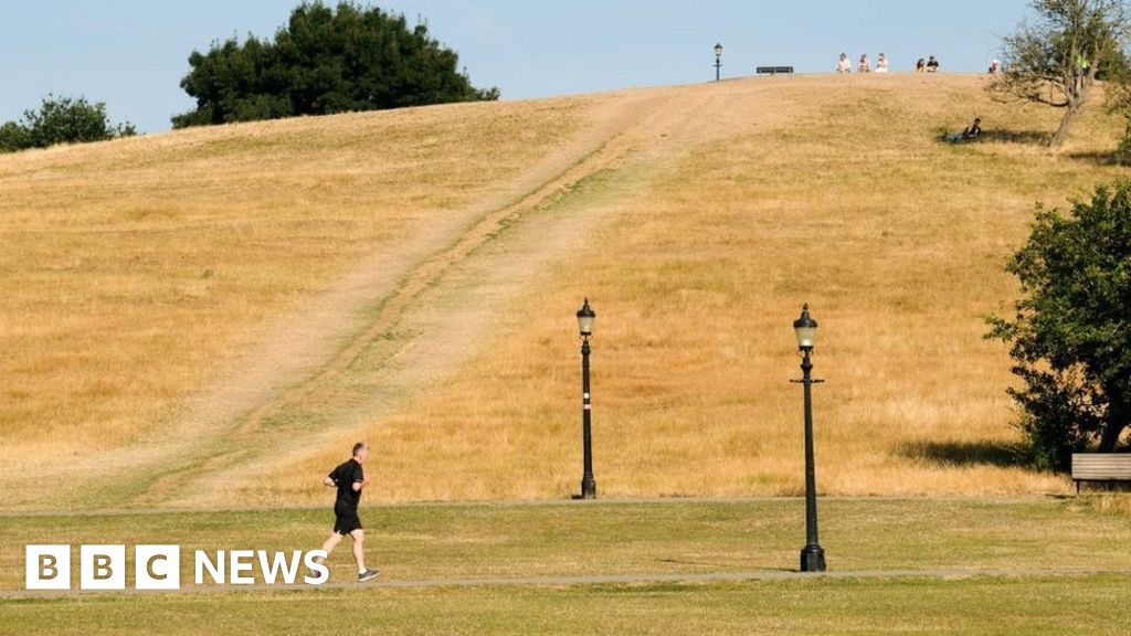 UK heatwave: UK set for new heatwave as temperatures head to 35C