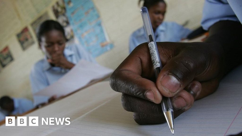 Is South Africa's education system really 'in crisis'?
