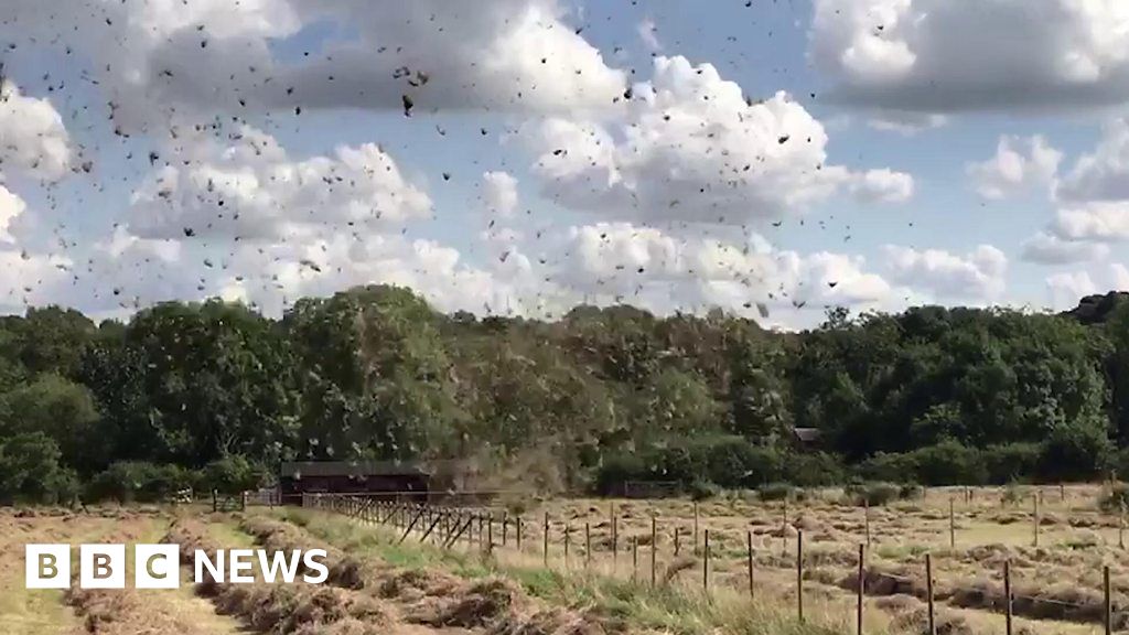 'Dust devil' sends hay flying through Leicestershire field BBC News