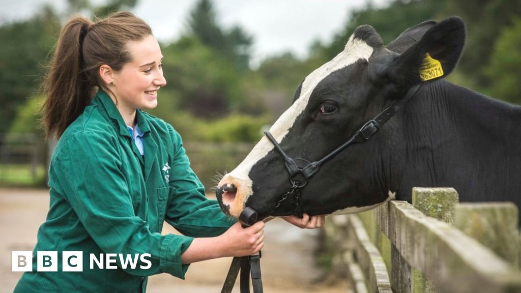 Plans for first new Scottish vet school in 150 years