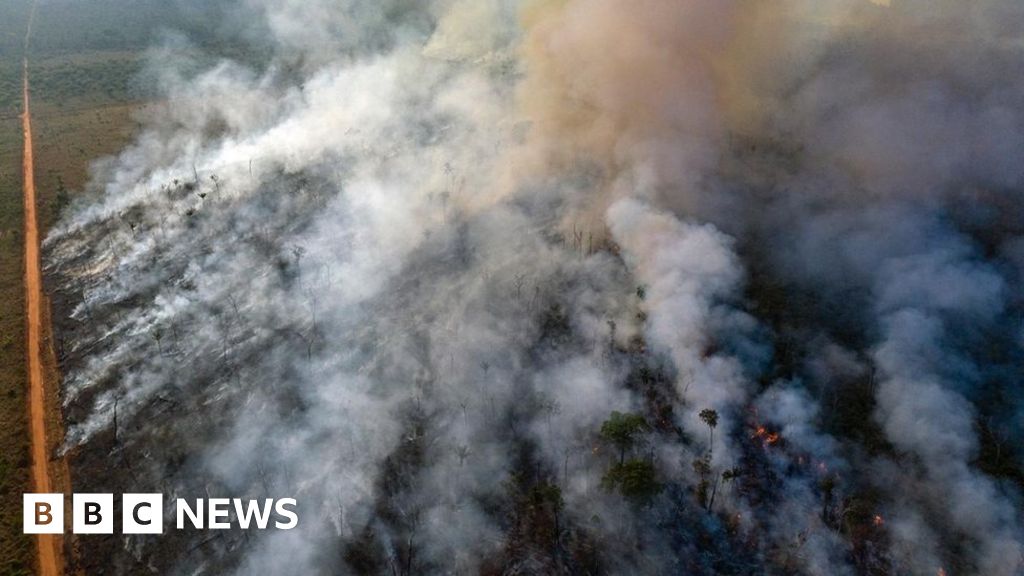 The Amazon in Brazil is on fire - how bad is it?