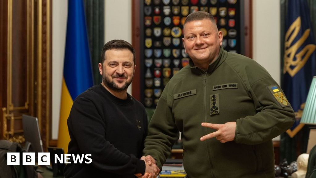 Zelensky sacked Valery Zalushny, Ukraine's commander-in-chief