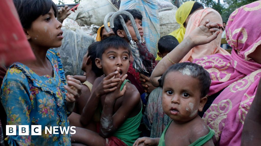 Rohingya Crisis Insurgents Declare Temporary Ceasefire Bbc News