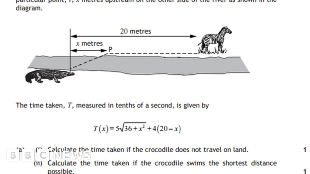 Crocodile maths question 'was challenging' - BBC News